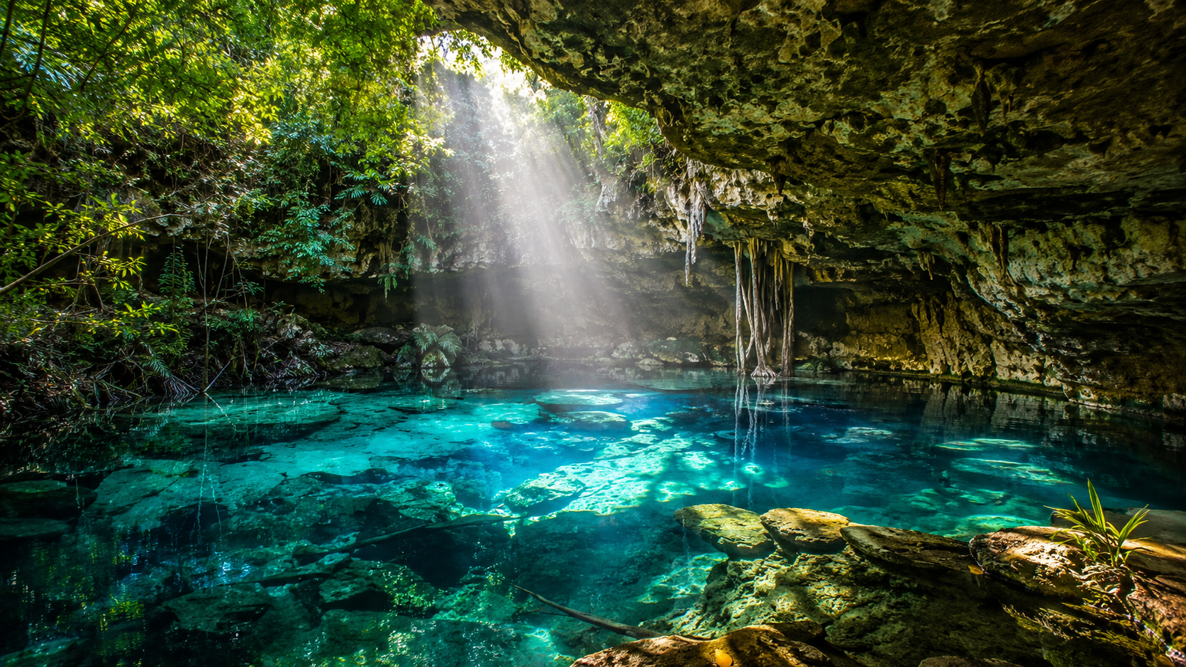 The Best Cenotes Near Tulum and Playa del Carmen (2026)